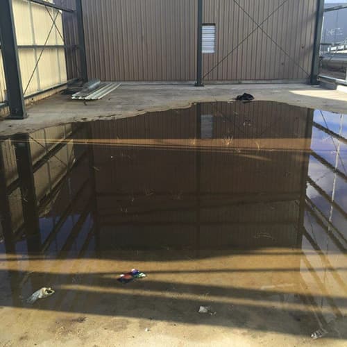 Schultz Australia — photo 2